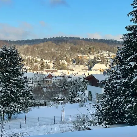 Bergchalet Loewenzahn Prázdninový dům