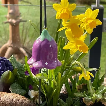 Hébergement de vacances Bergchalet Loewenzahn *