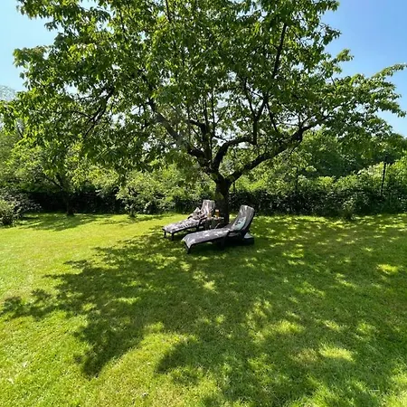 Hébergement de vacances Bergchalet Loewenzahn Benshausen