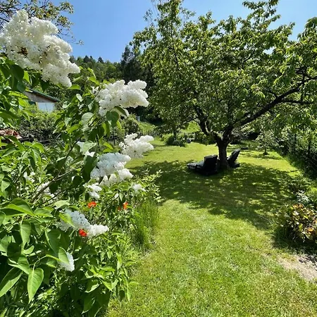 Bergchalet Loewenzahn بيت للعطل