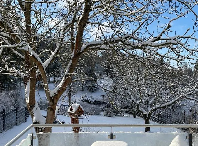 Bergchalet Loewenzahn *