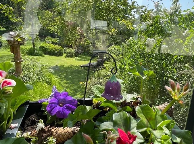 Bergchalet Loewenzahn Σπίτι διακοπών *