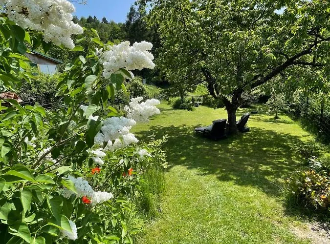 Bergchalet Loewenzahn Σπίτι διακοπών